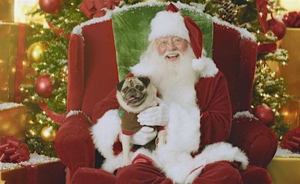 The Pub\u2019s Pup Portraits with Santa