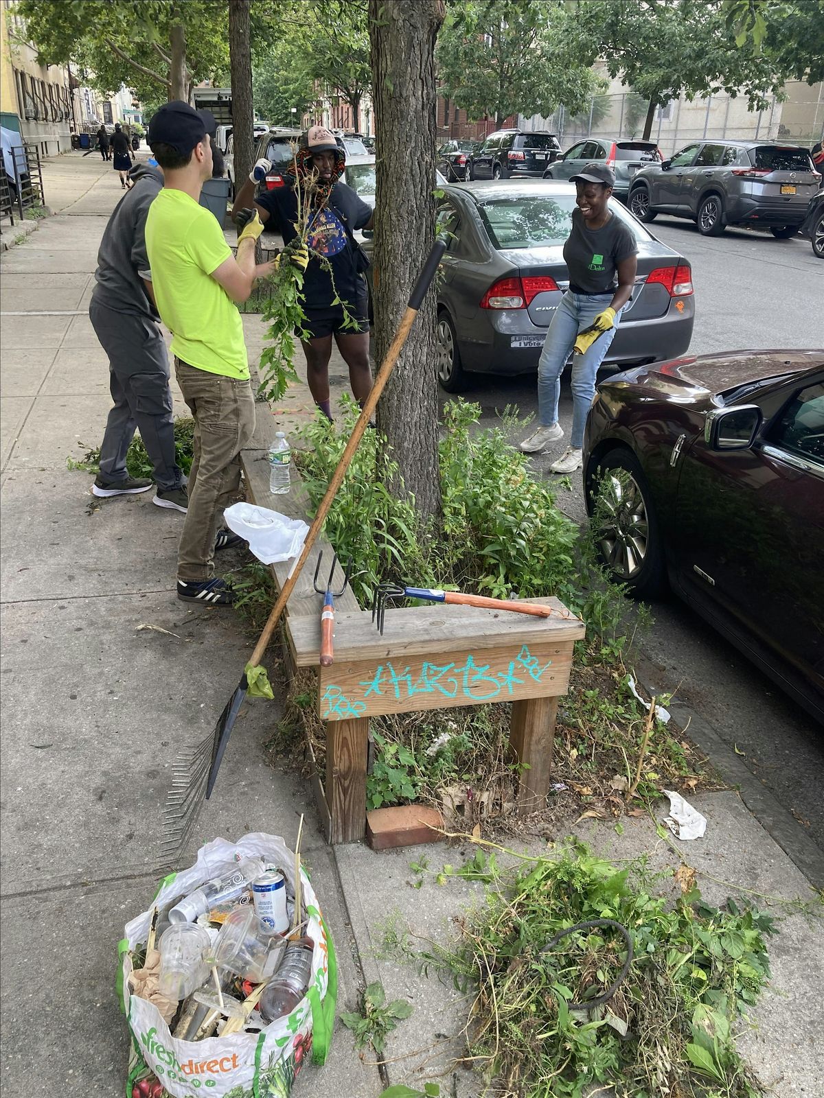 Street Tree Care w\/ Brooklyn College