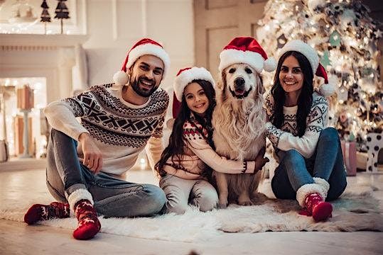 A Pawsitively Perfect Christmas Photo Session