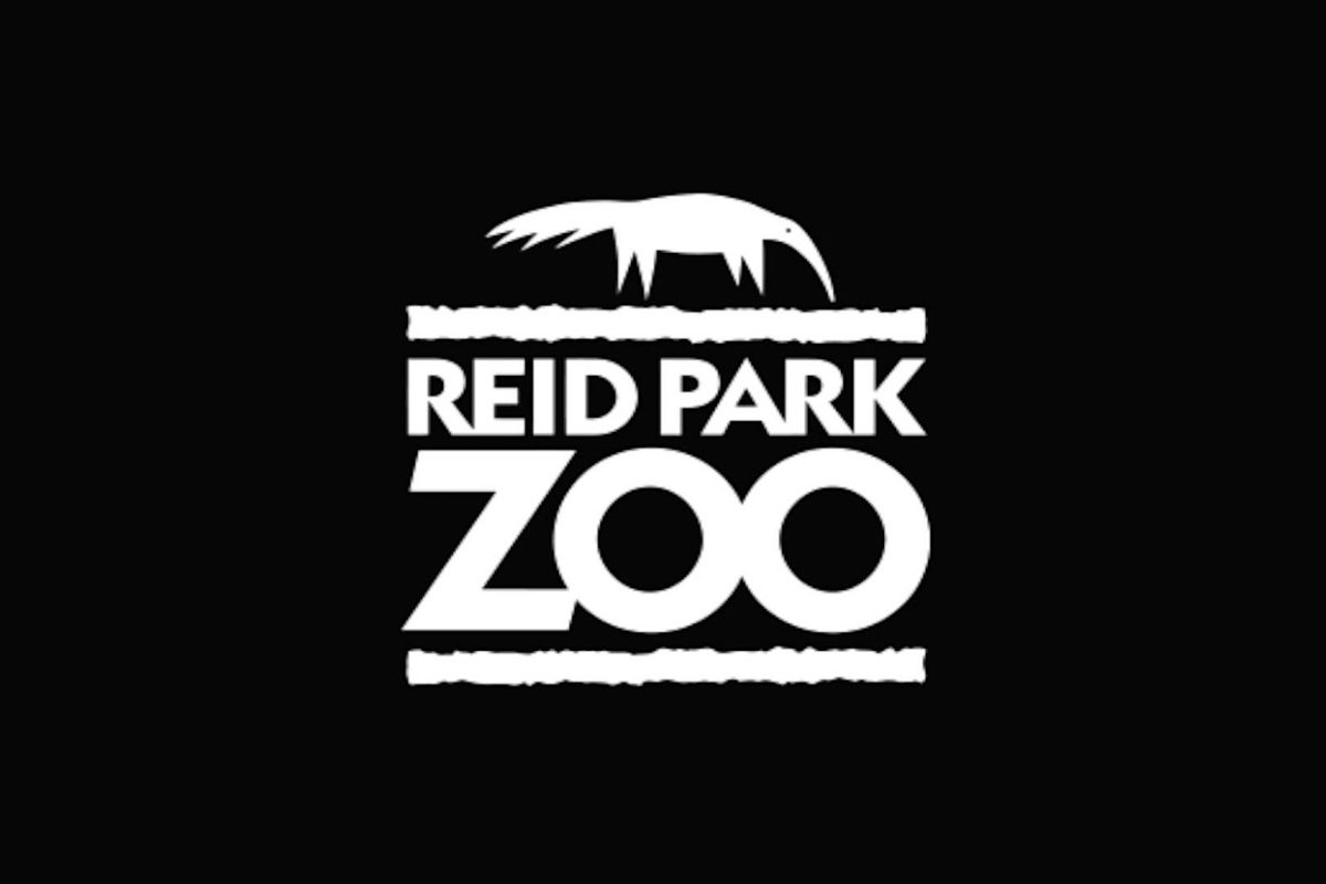 Jacob Acosta Duo at Reid Park Zoo: ZooLIghts