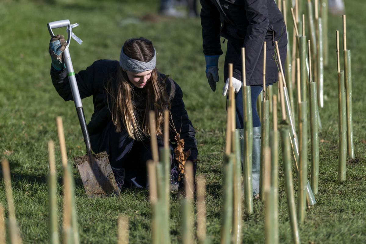 Hedge Planting at Woodstock Open Space