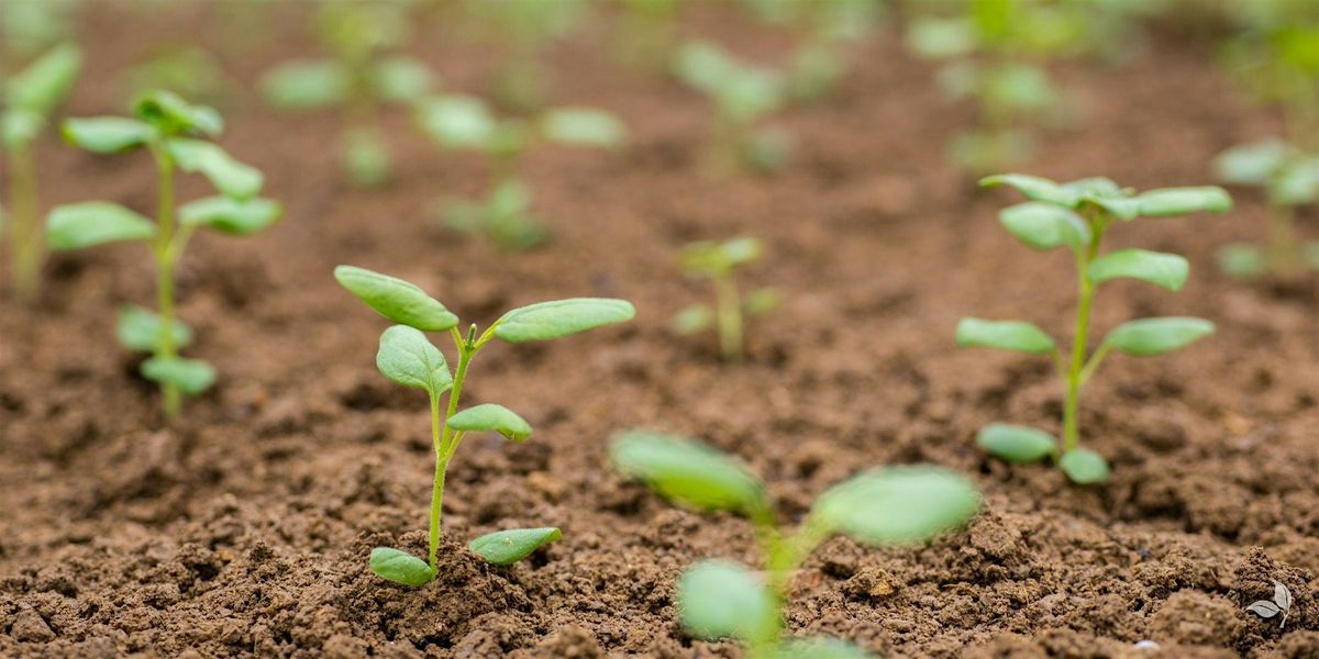 Seed Starting Lecture
