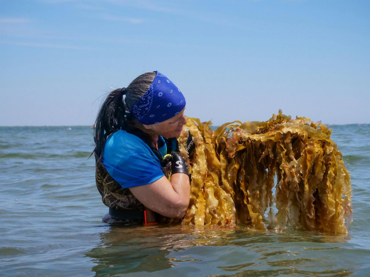 Exhibit Tour: Indigenous Sea Stories (Adults & Teens, Ages 12+)