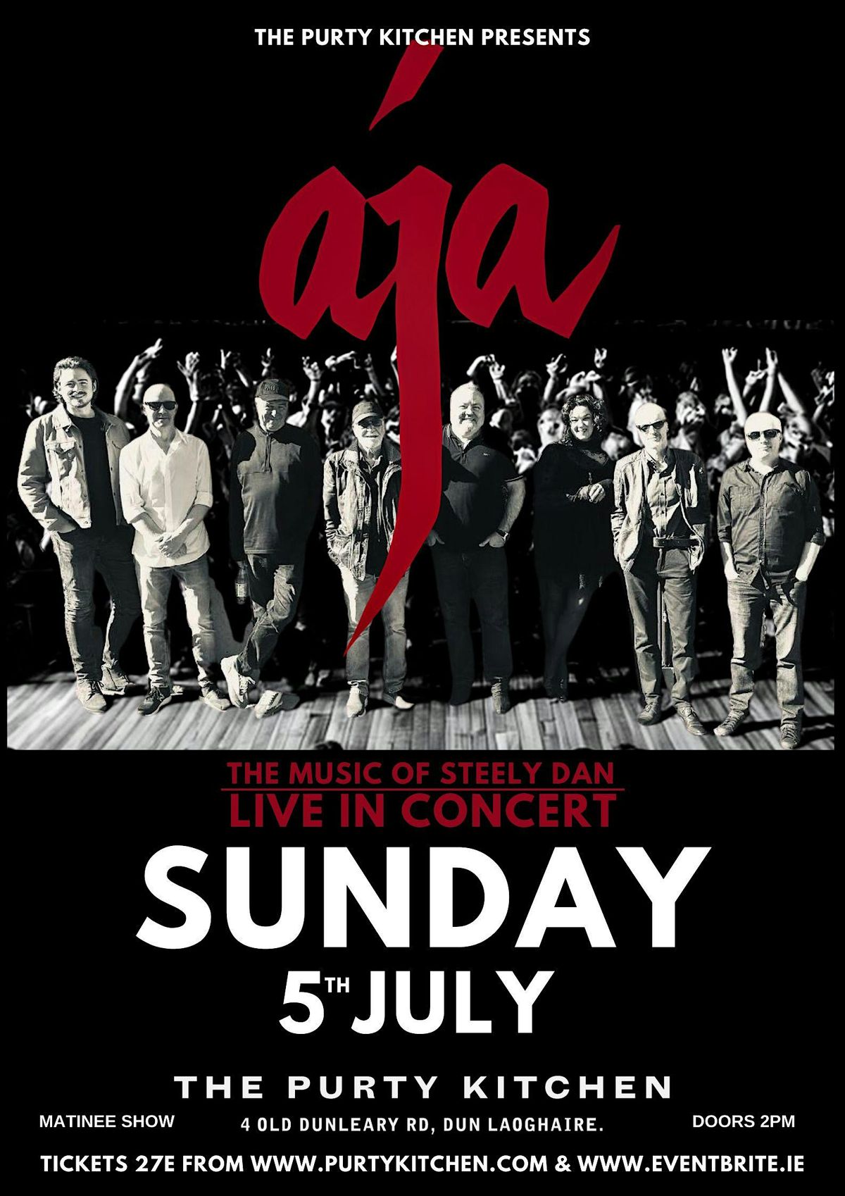 AJA - A Tribute to Steely Dan - Live at D\u00fan Laoghaire Summerfest