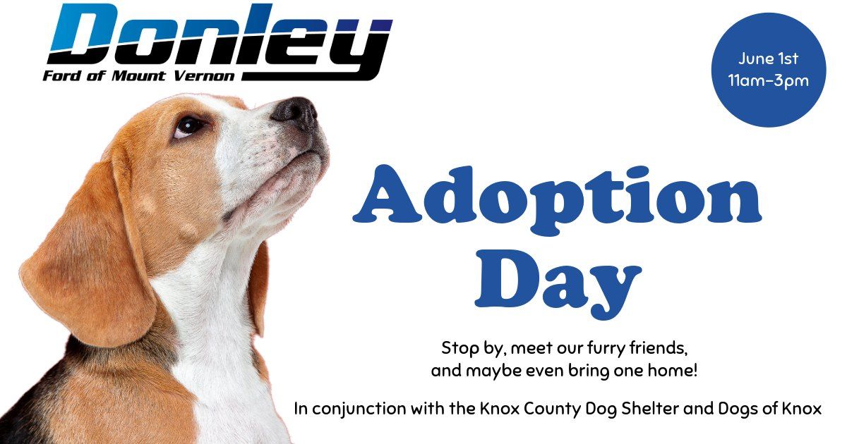 Dog Adoption Day at Donley Ford