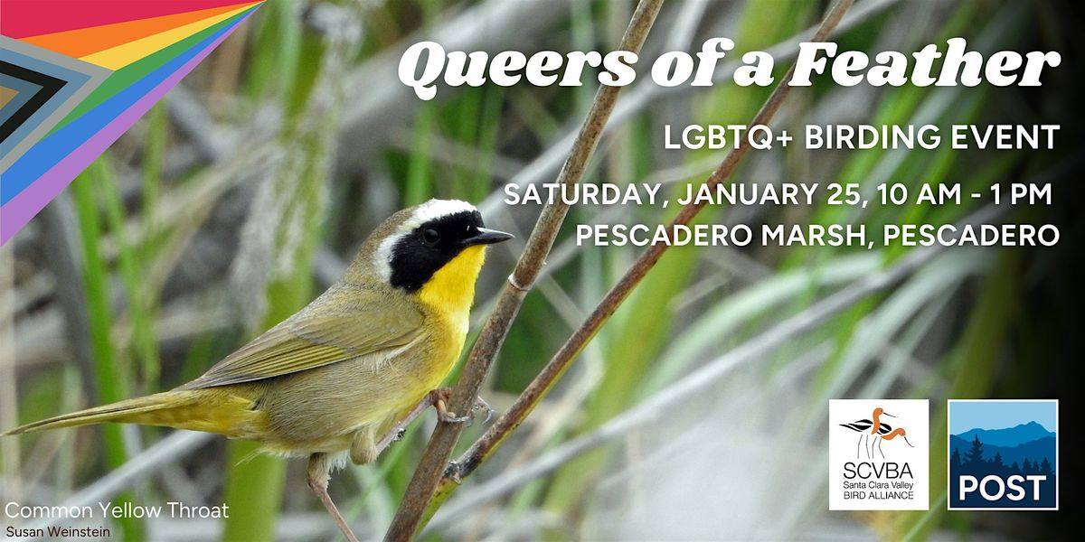 Queers of a Feather (LGBTQ+ Birding Event)