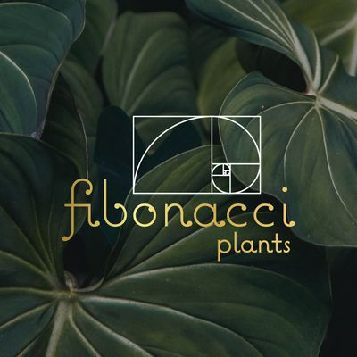 Fibonacci Plants