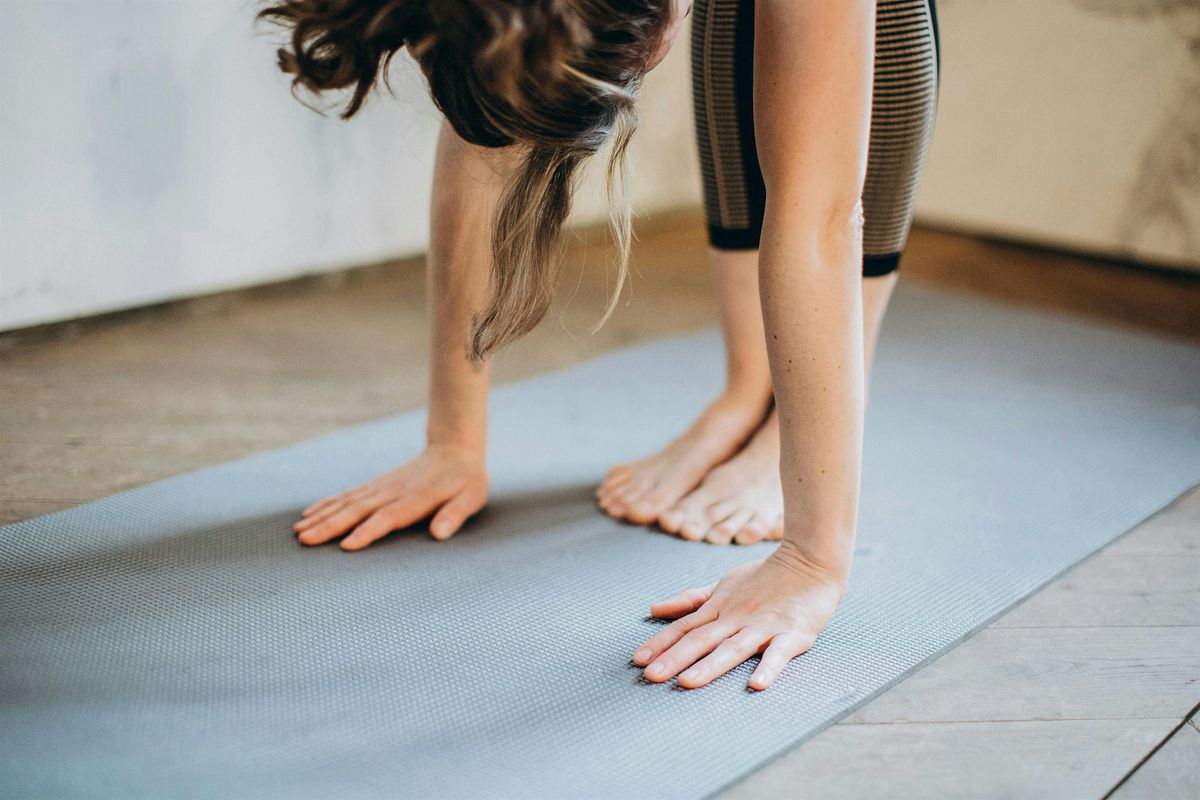 Beginner Yoga with Jo & Stacey