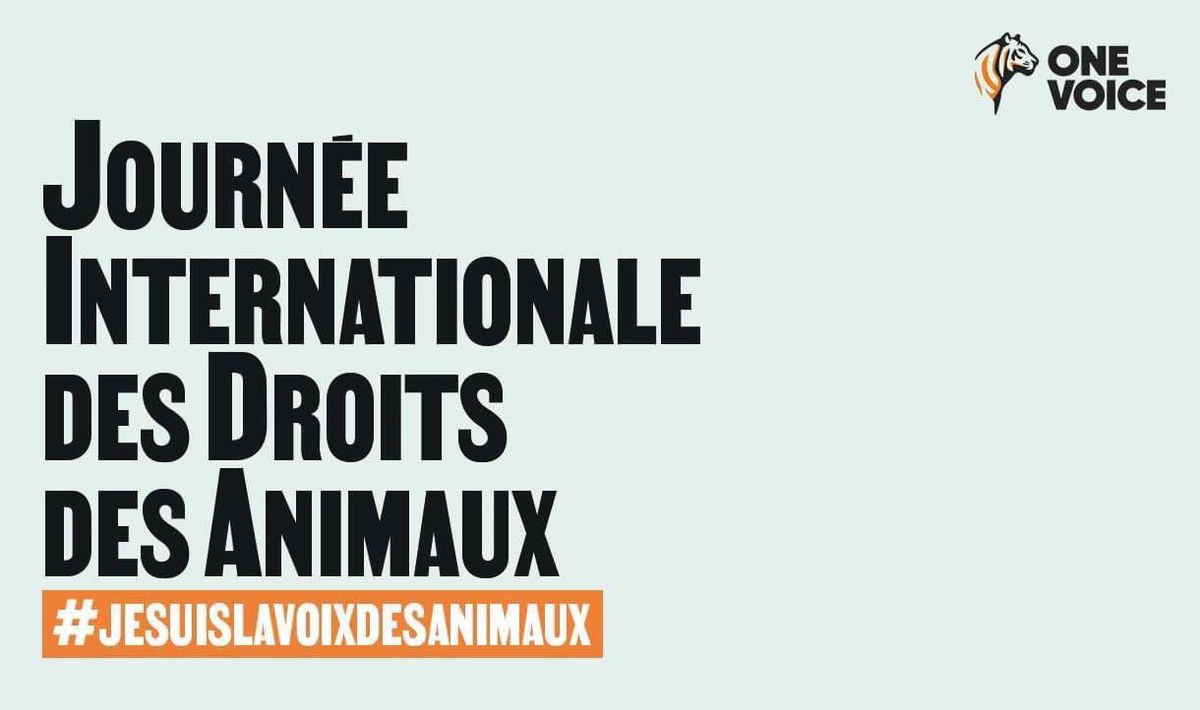 Montpellier-#JeSuisLaVoixDesAnimaux