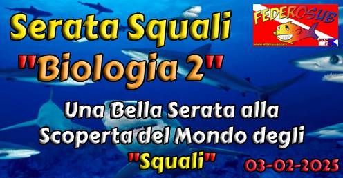 Serata Dedicata al Mondo degli Squali