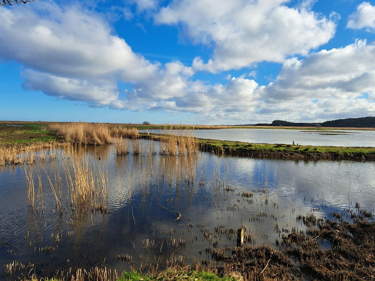 Creative writing outside - performance