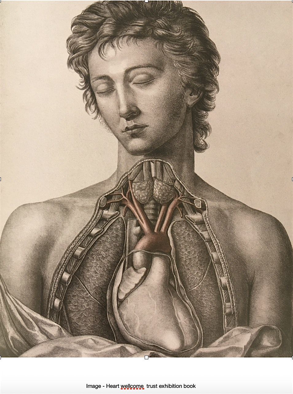 HEARTLANDS\/ TIR Y GALON  (explorations in Movement and imagination)