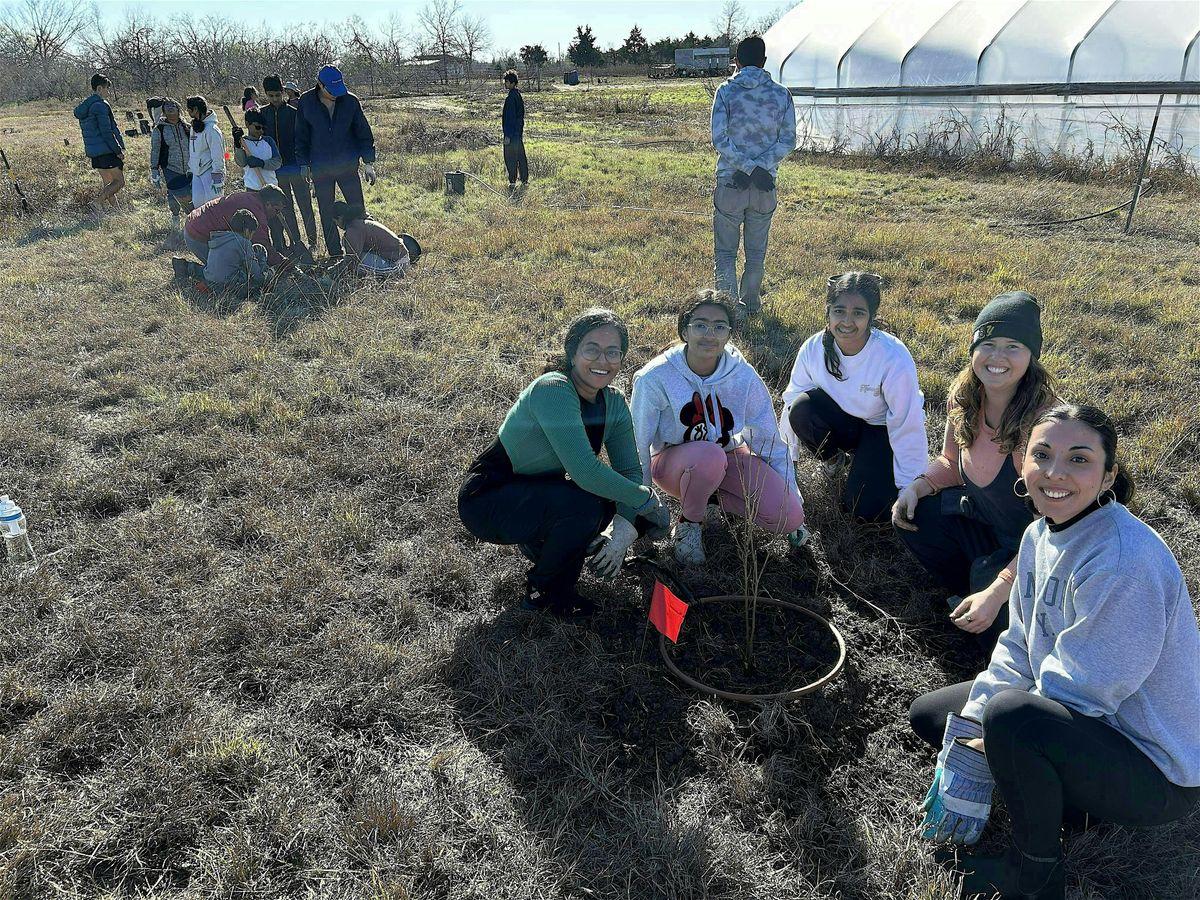 2025 Holiday Tree Planting Parties weekend 3