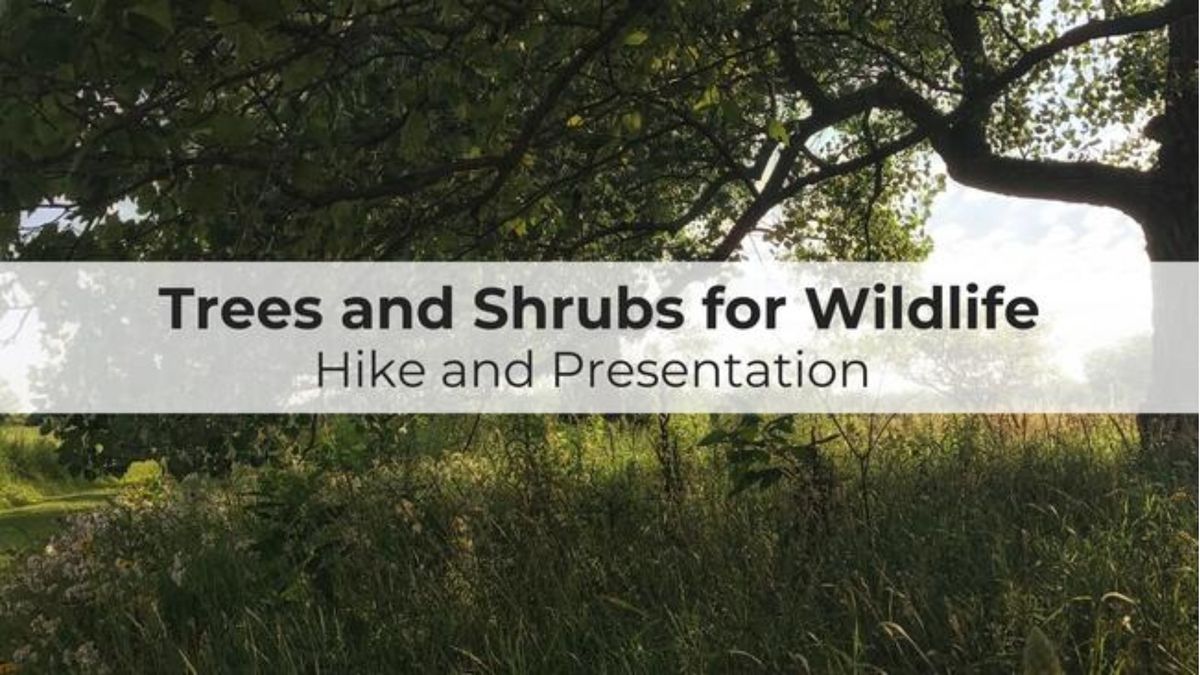 Trees & Shrubs for Wildlife Program - Headquarters Forest Preserve