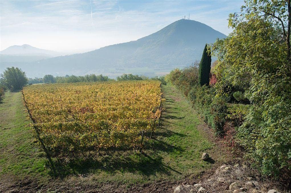 Wine Dinner with Vignalta