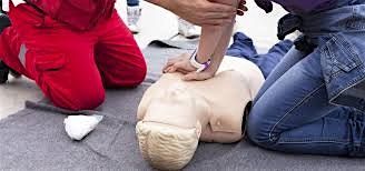 Red Cross Adult & Pediatric CPR\/AED\/First Aid Instructor Certification