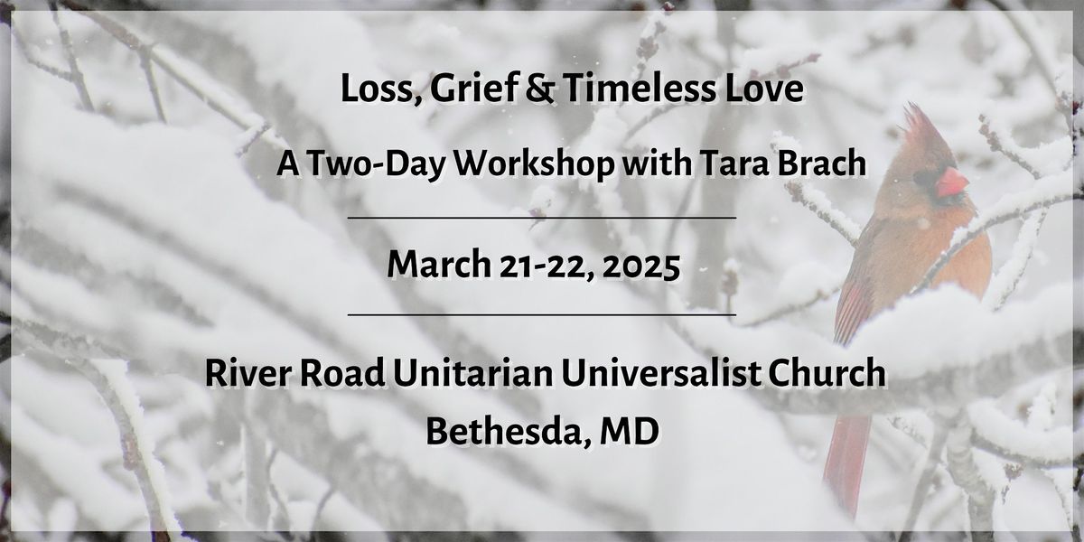 Loss, Grief and Timeless Love -  with Tara Brach (In-Person)