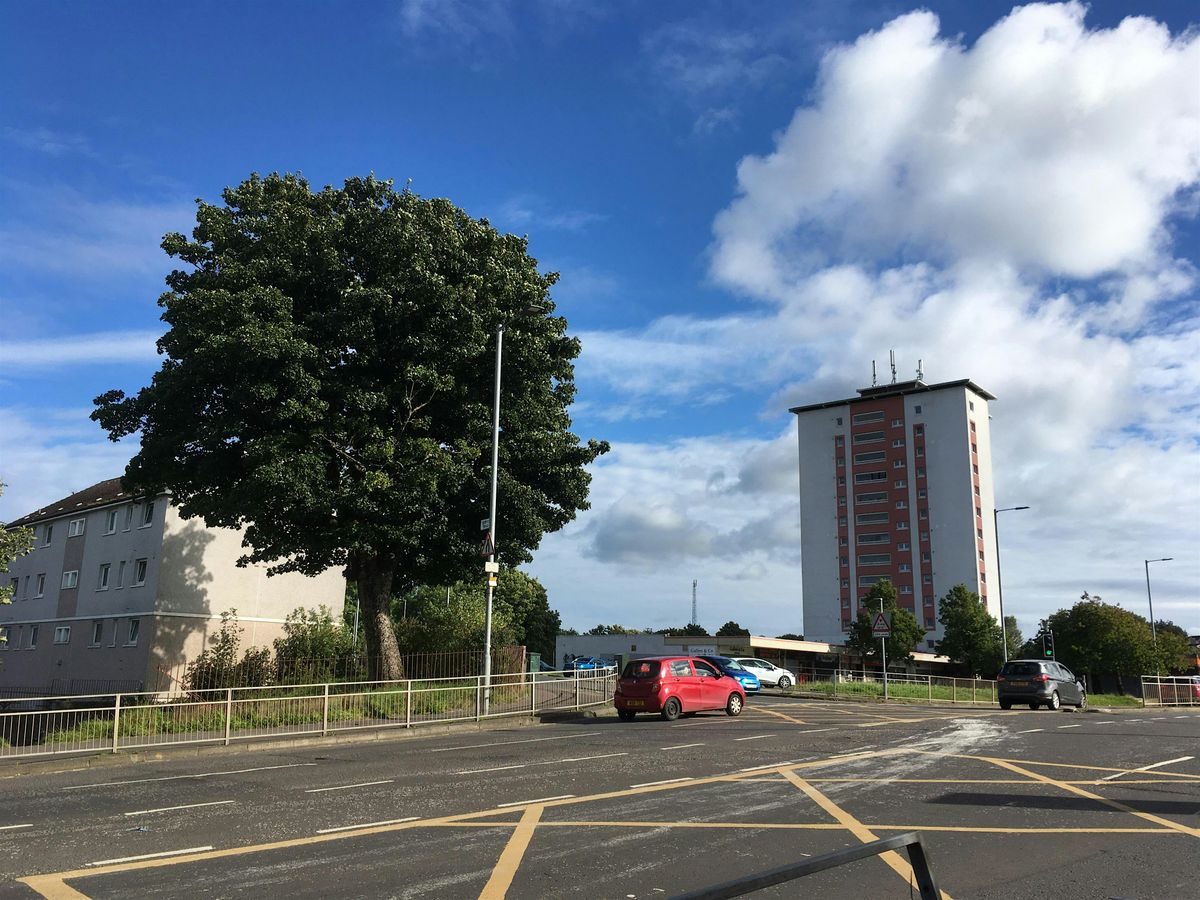 Green spaces and hot weather in Pollok: evidence cafe