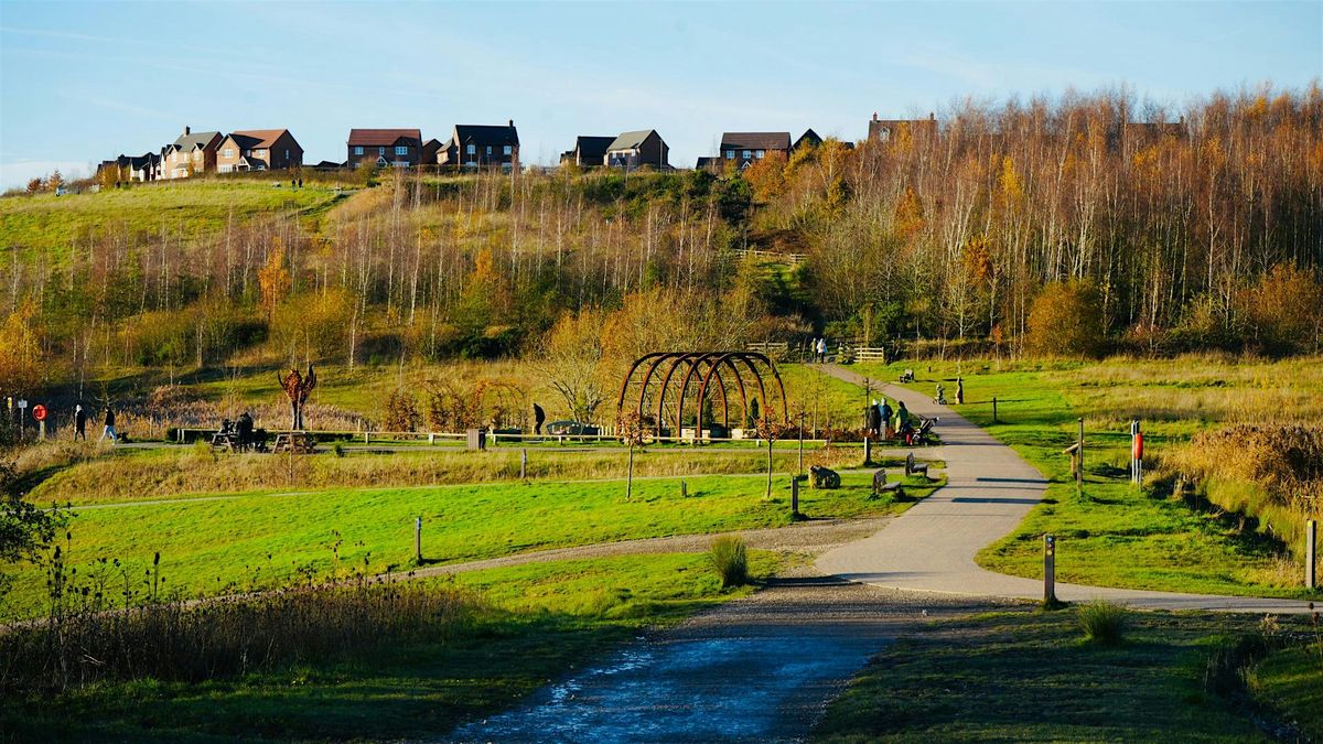 Digital-Free Walk at Gedling Country Park