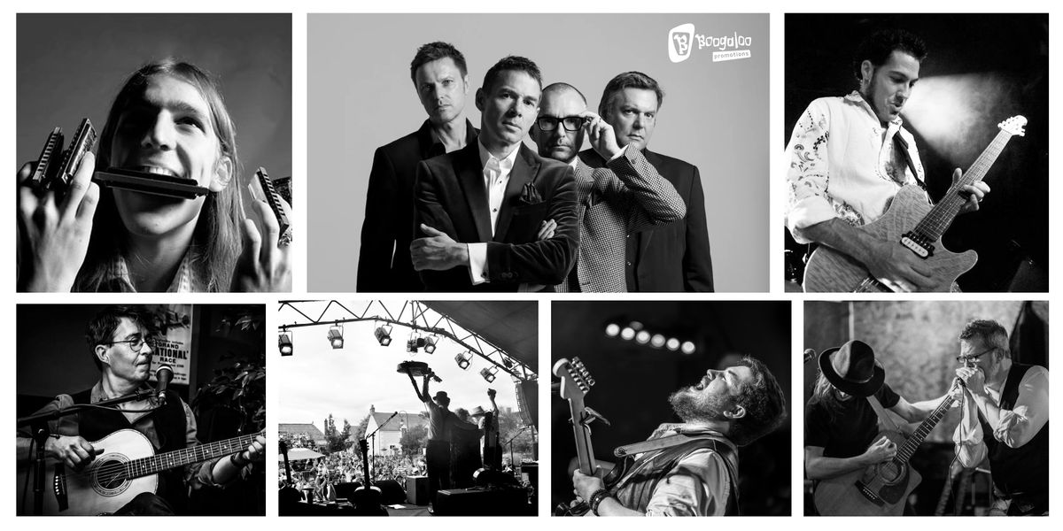 Live Blues Weekender Festival in Bournemouth