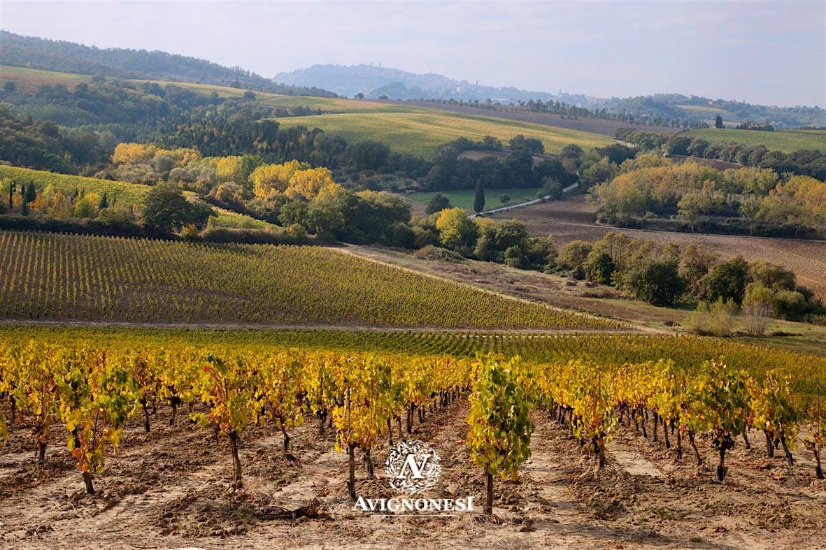 Wine Dinner with Avignonesi