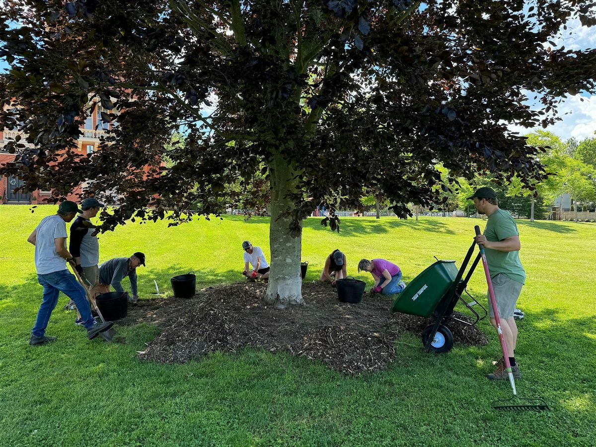 Tree Corps: Pell Elementary School