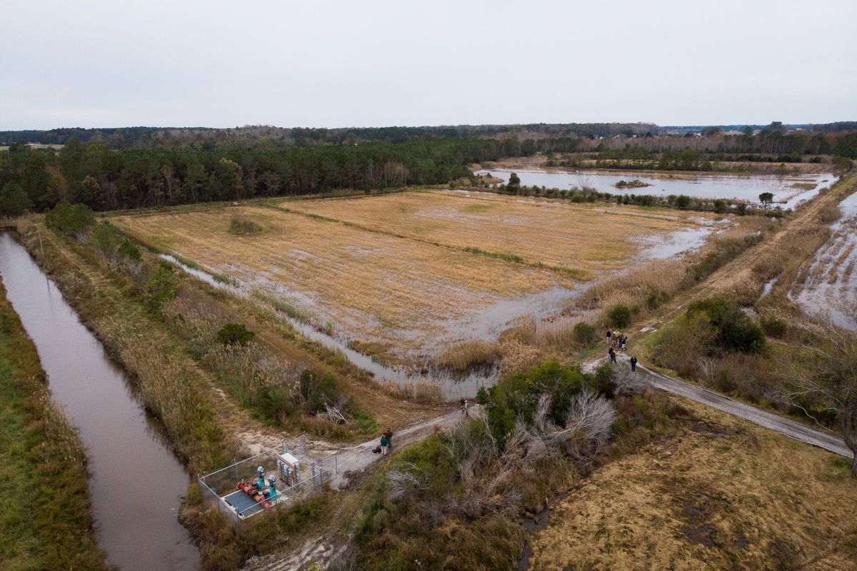 Virginia Beach Ducks Unlimited Wetlands Conservation Dinner and Auction