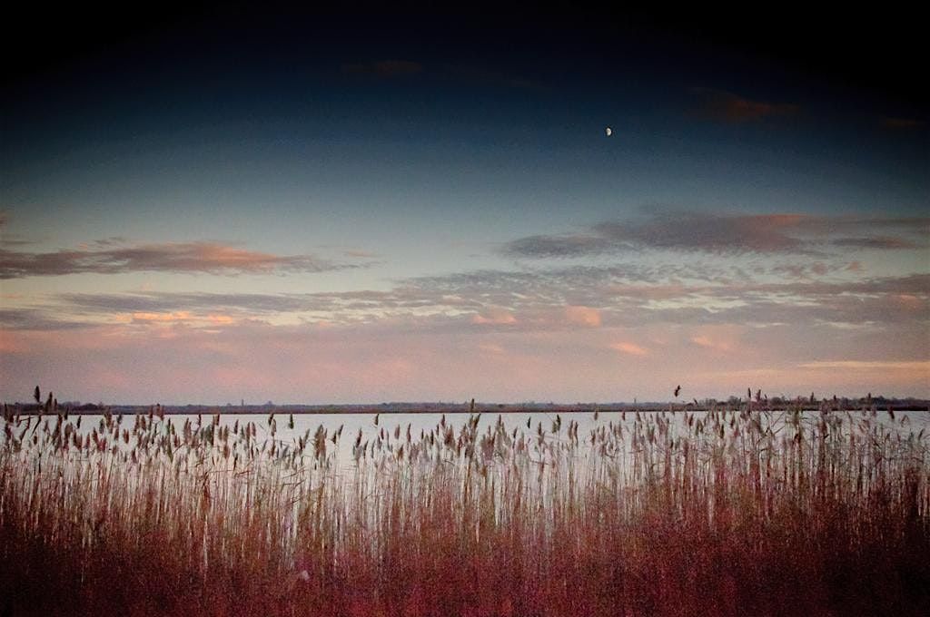 Loenderveense plas: Nacht van de nacht