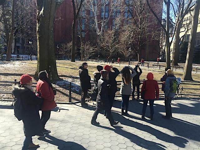 Wildlife Survey in Washington Square Park