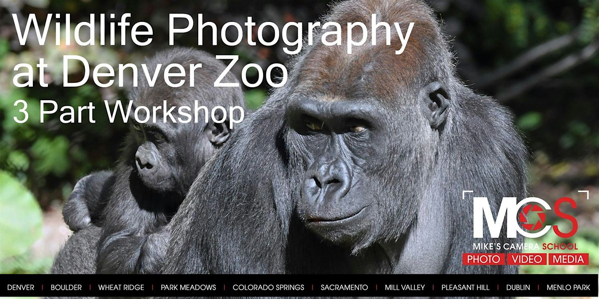 3 Part Wildlife Photography Workshop at Denver Zoo