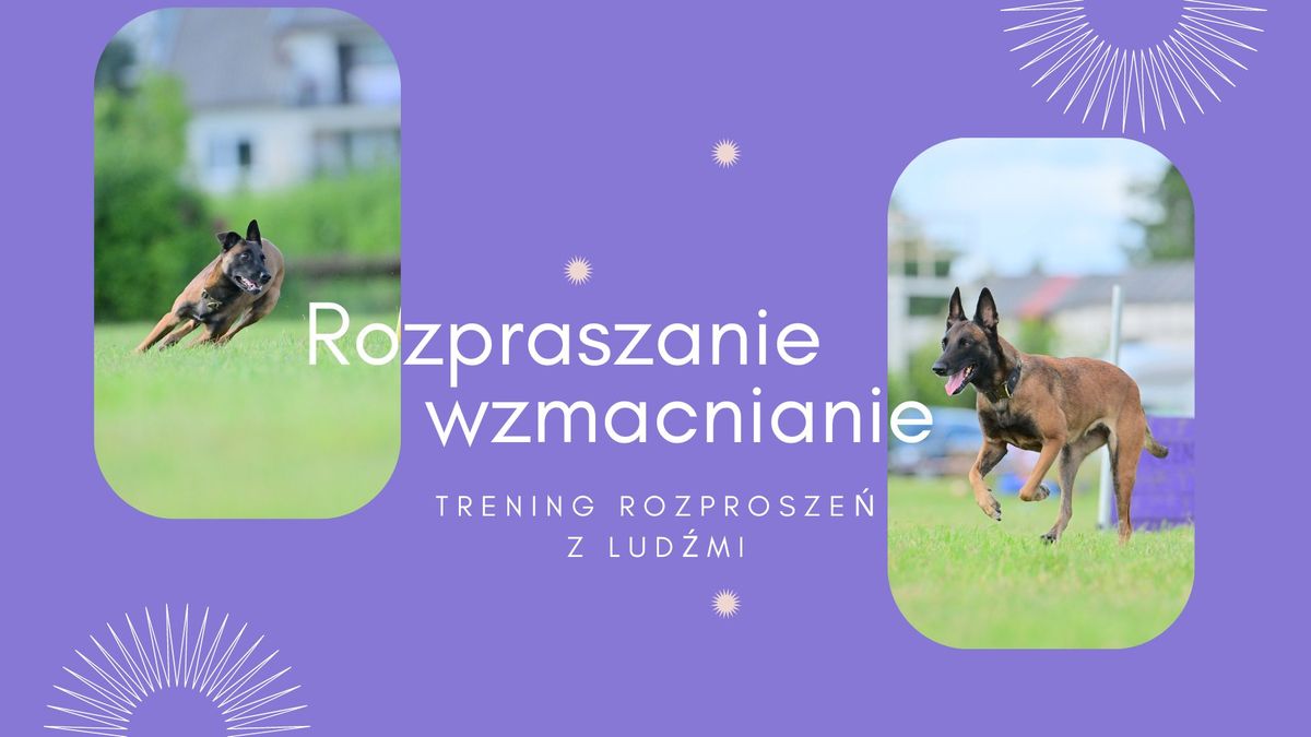 Rozpraszanie - wzmacnianie - STYCZE\u0143 2025