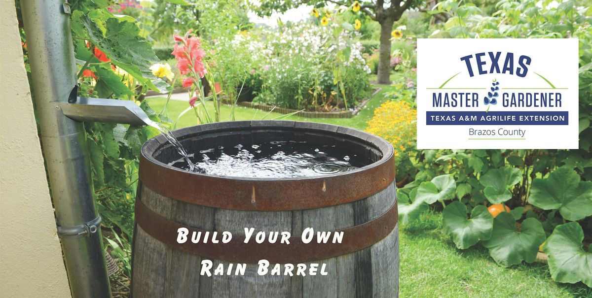 Rainwater Harvesting Workshop