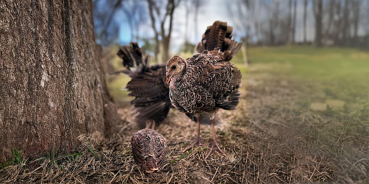 UF Wild Turkey Research Banquet