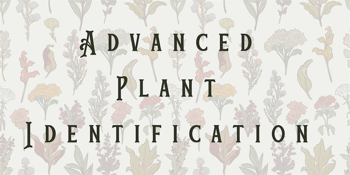 Advanced Plant Identification - 4-Part Series