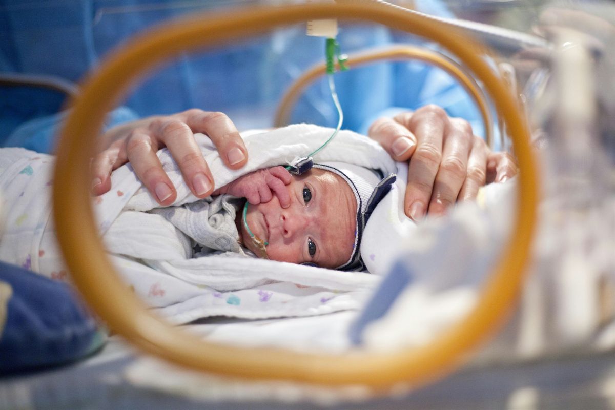 Grundkurs der Sonographie des Zentralen Nervensystems und der Wirbels\u00e4ule