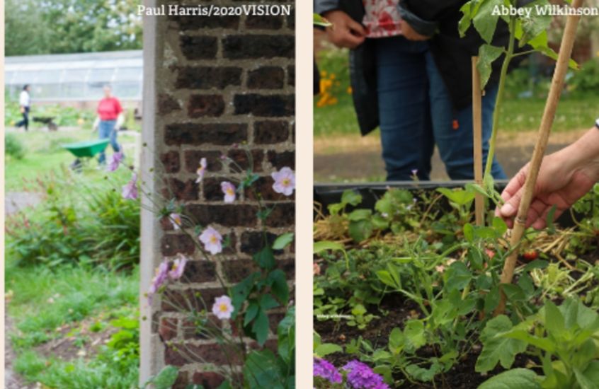 Rain Garden Workshop