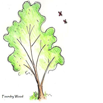 Friends of Foundry Wood
