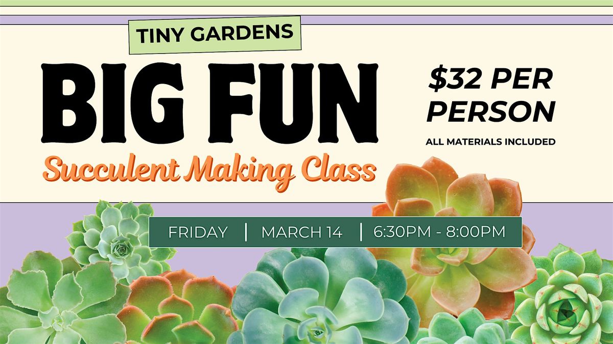 Succulent Making Class: Tiny Gardens, Big Fun at Sheraton Stonebriar Hotel