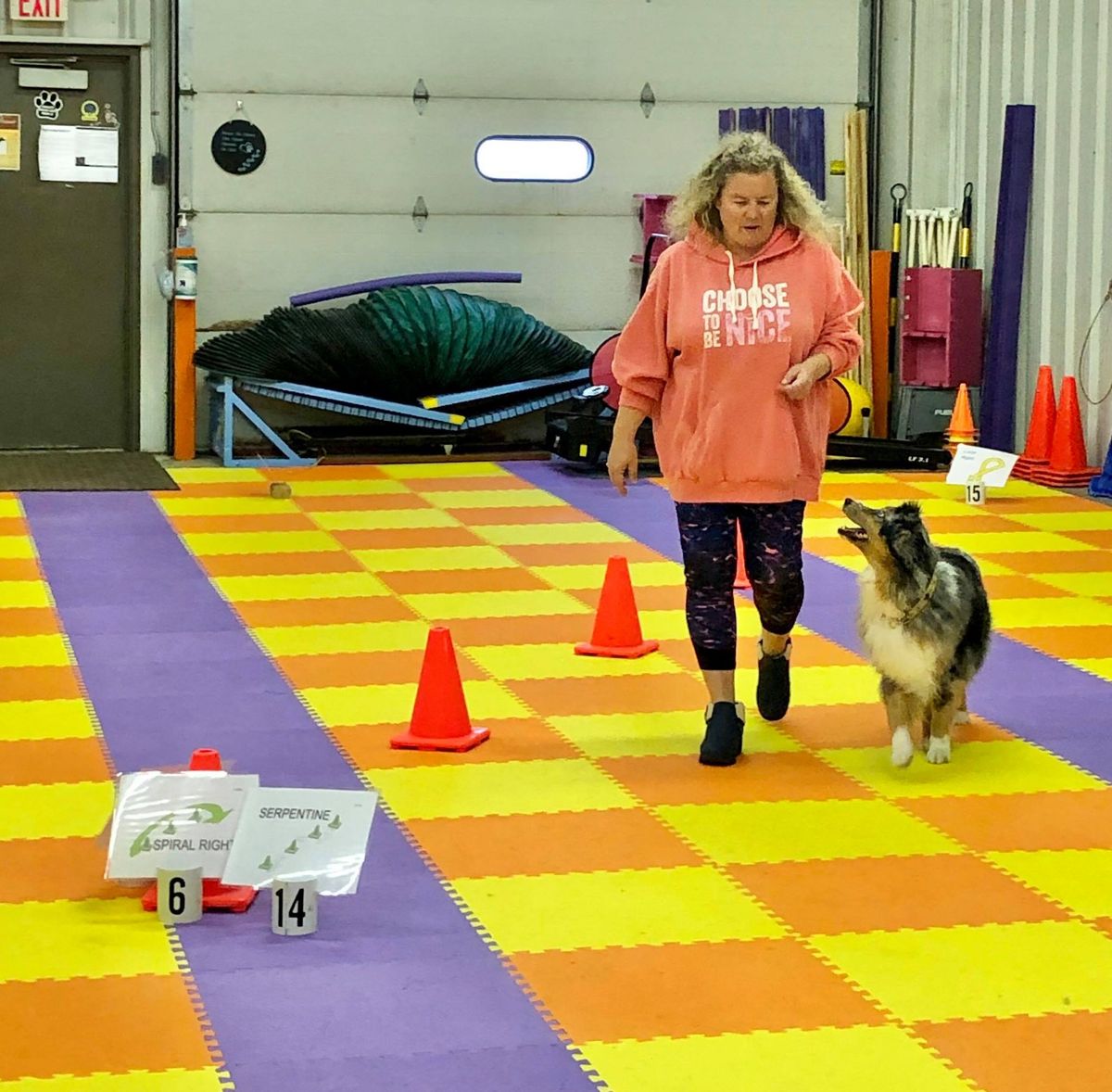 C-WAGS Rally & Obedience Trials