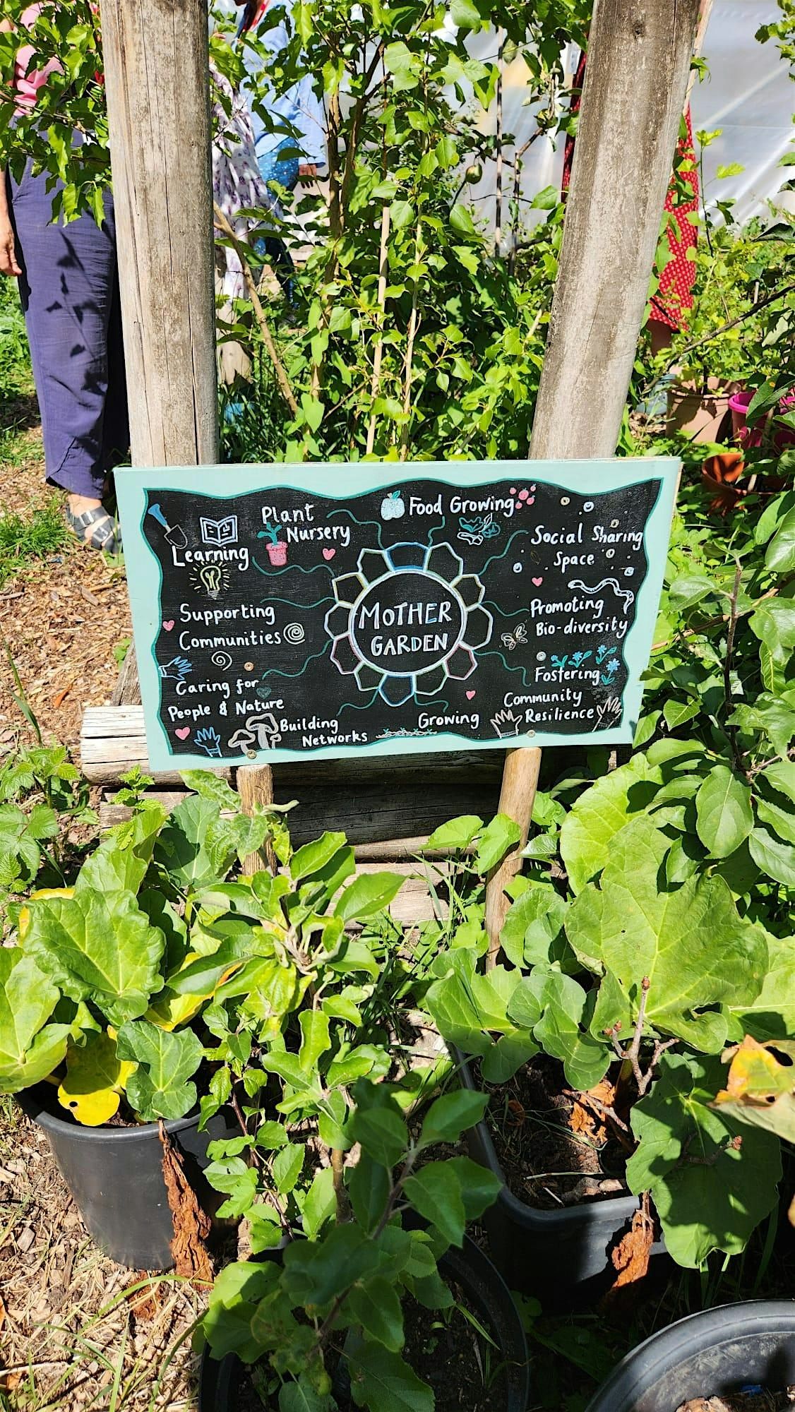 An Introduction to the Mother Garden model