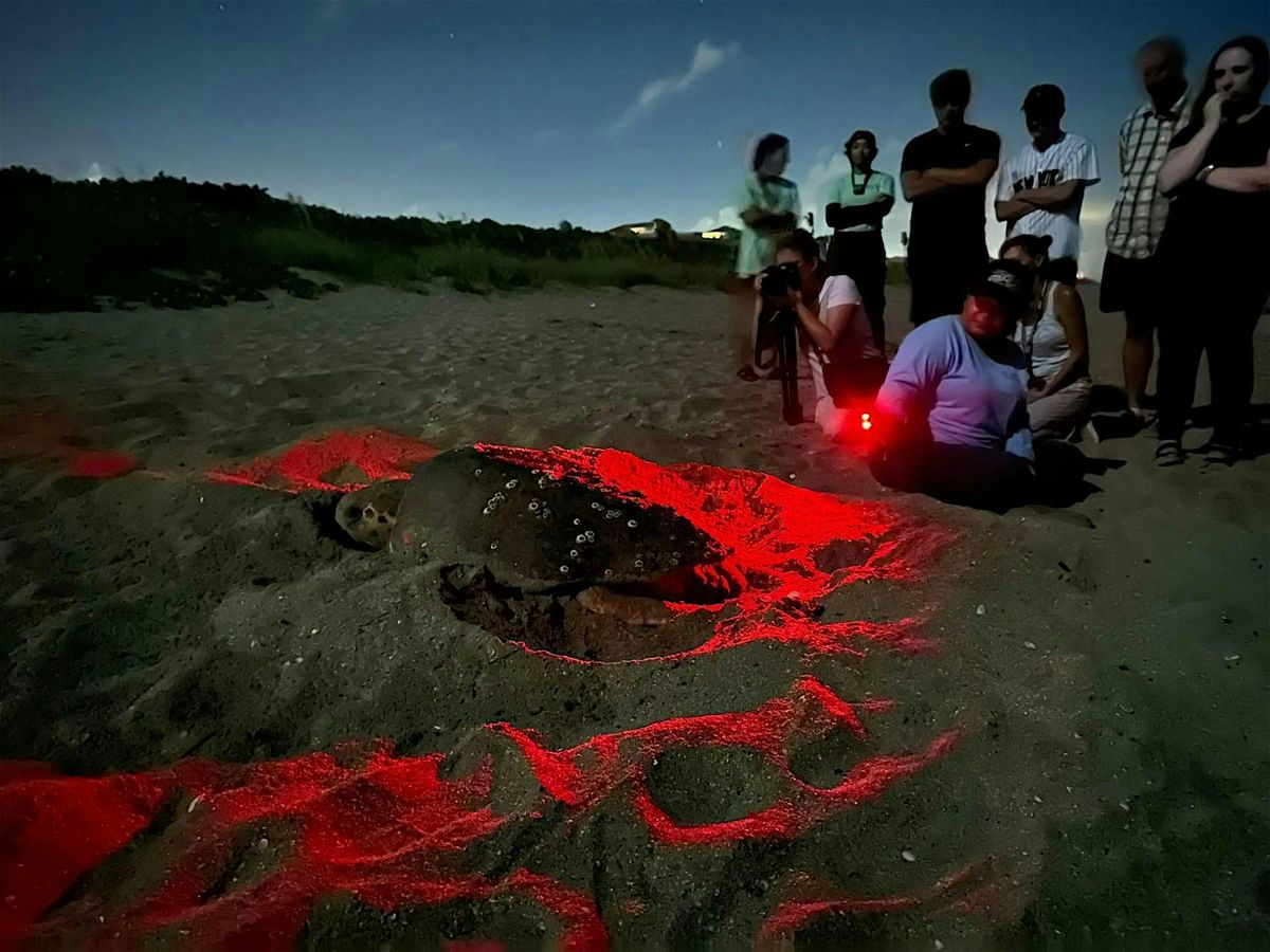 EAIs 2025 Nighttime Sea Turtle Walk, Jensen Beach Community Center, 3 ...