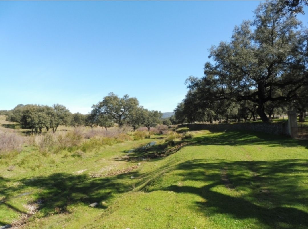 Sendero La Lobera, El Real de la Jara