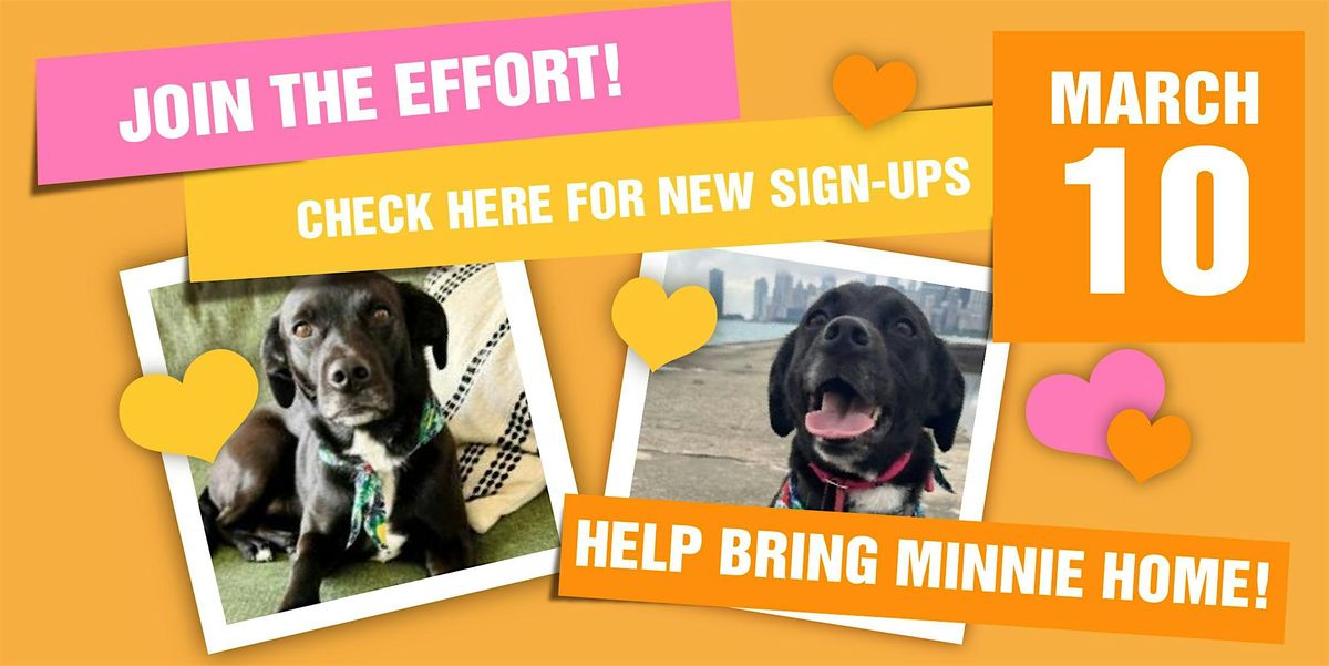 POST FLYERS FOR MINNIE - help bring Minnie home!