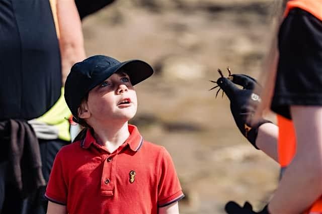 Rockpool Safari - South Landing, Flamborough