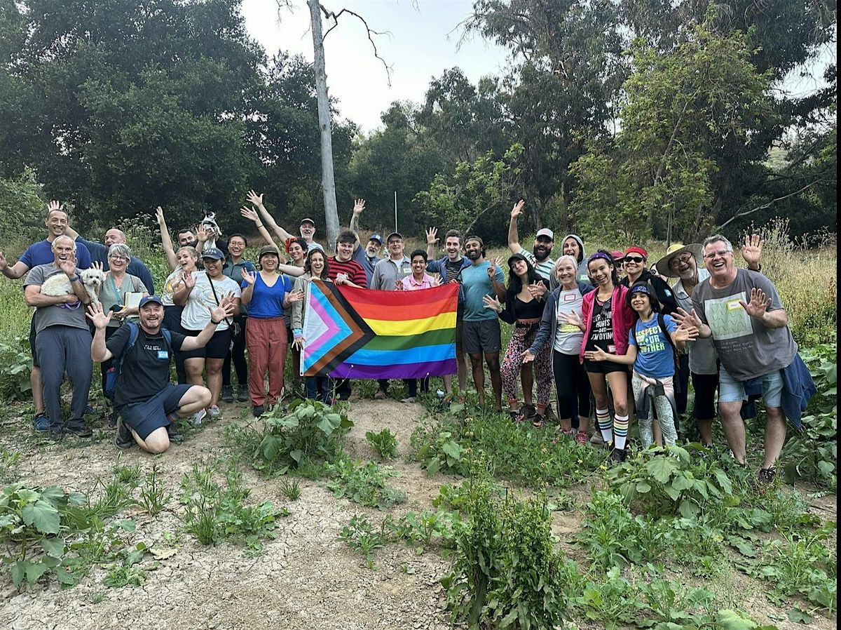 New Year Sunset Queer Ecology Walk