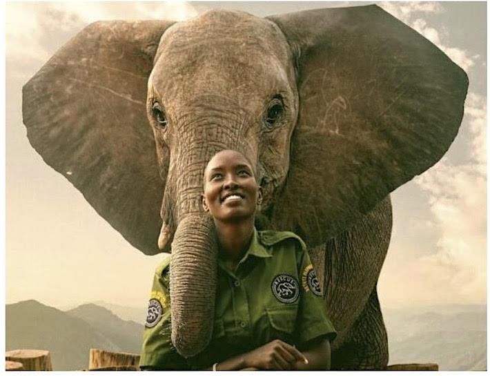 7 Short Films About Women Impacting Climate Change