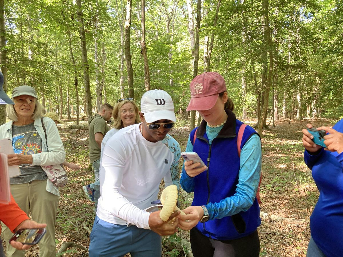 Mushroom 101 and Foraging Class