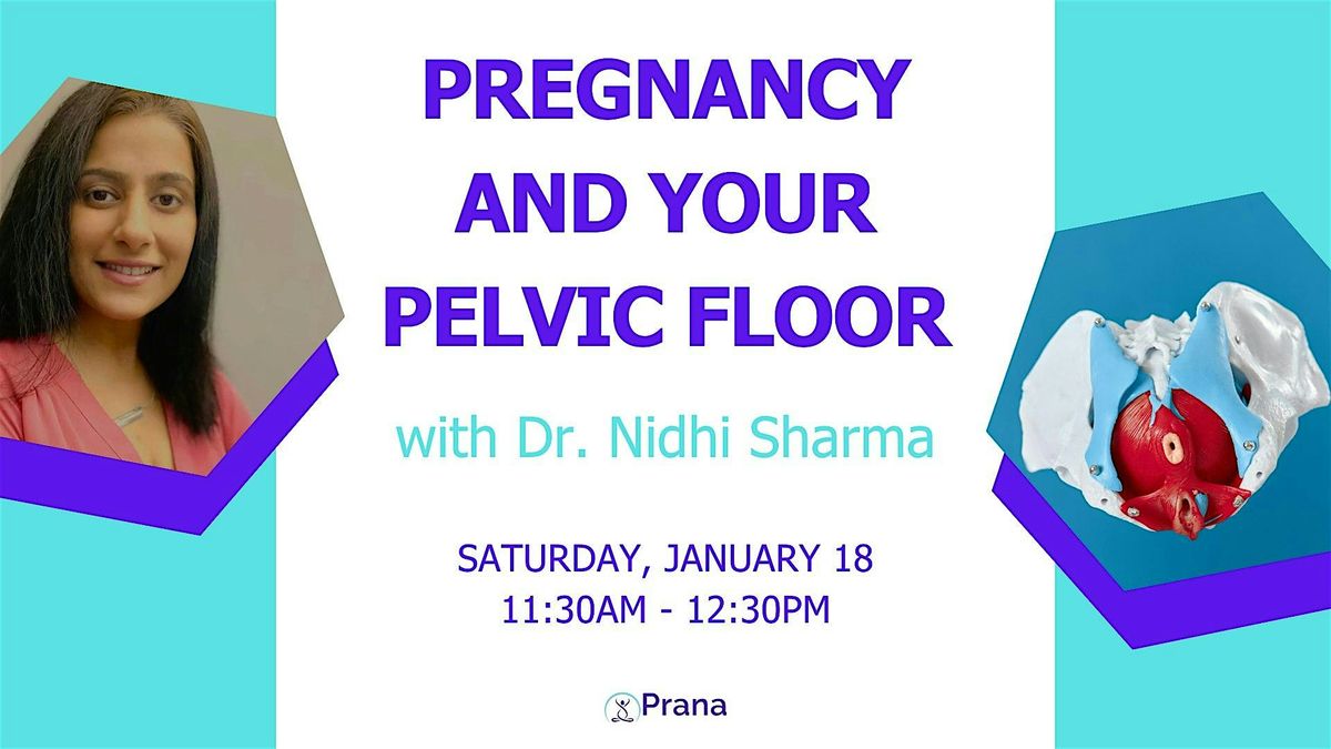 Pregnancy and your Pelvic Floor