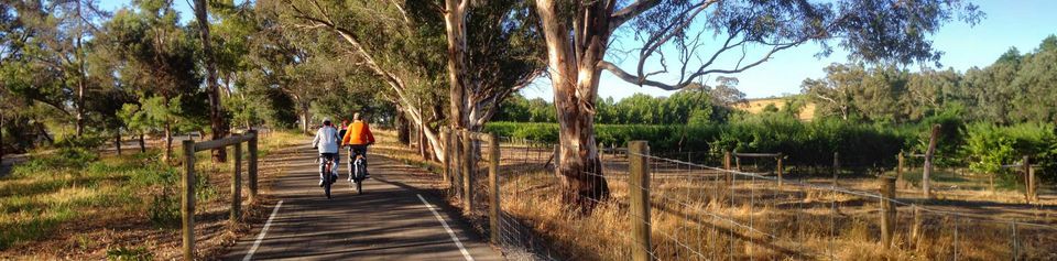 Adelaide Hills Cycling Adventure