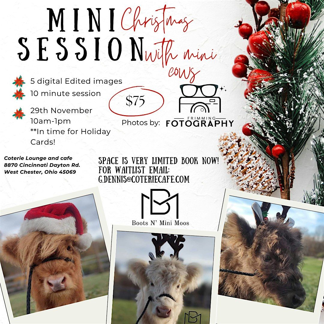 Mini Photos with Mini Cows